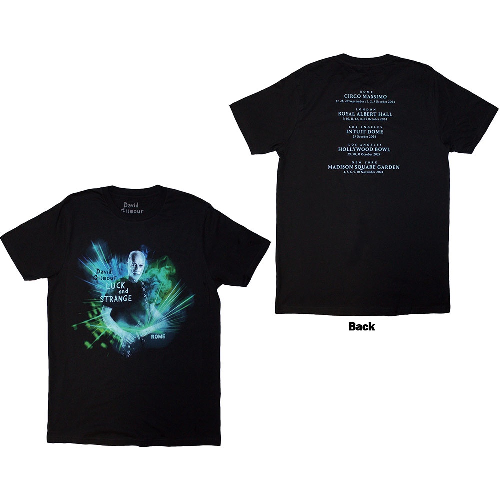 David Gilmour - Luck & Strange Rome Heren Tshirt - Zwart